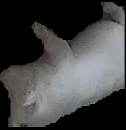 Crop