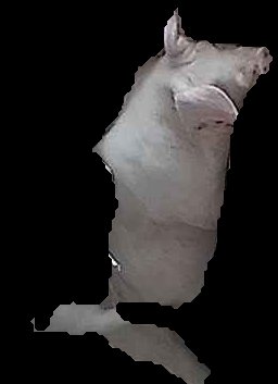 Crop