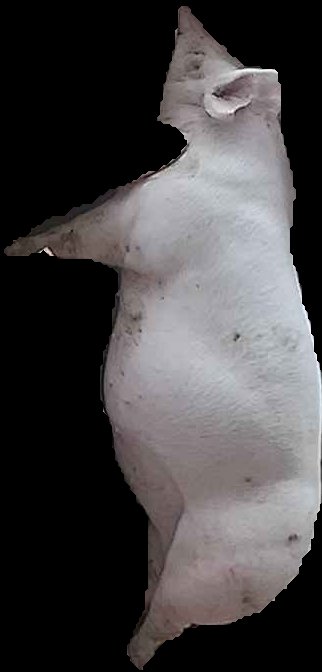 Crop