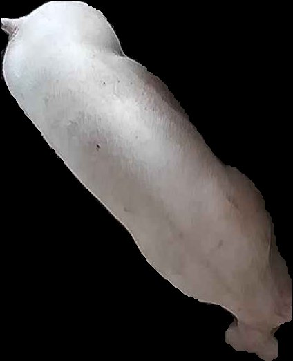 Crop