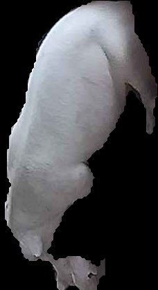 Crop