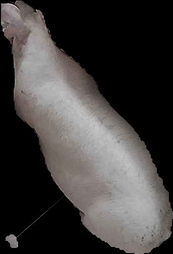Crop