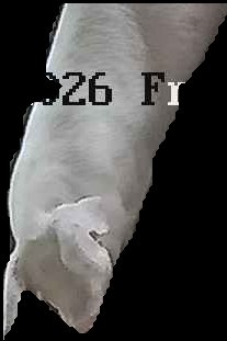 Crop