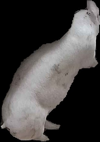 Crop