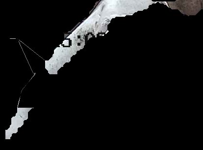 Crop