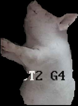 Crop