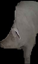 Crop