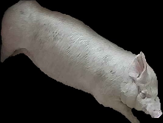 Crop
