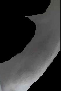 Crop