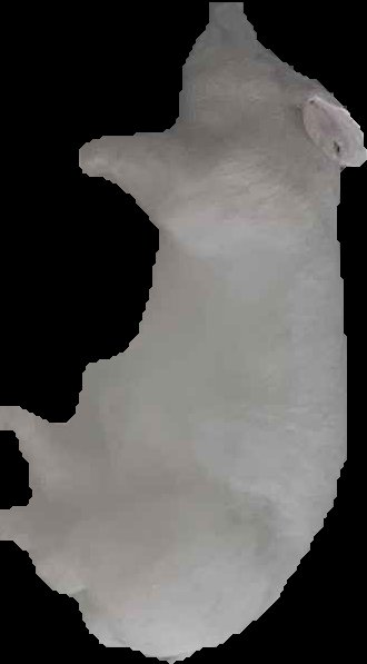 Crop