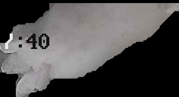 Crop