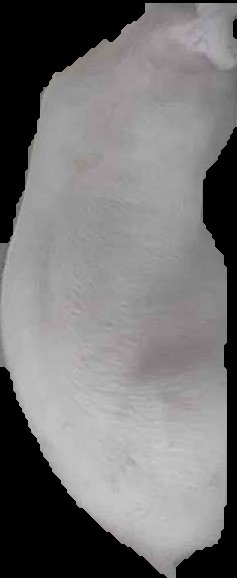 Crop