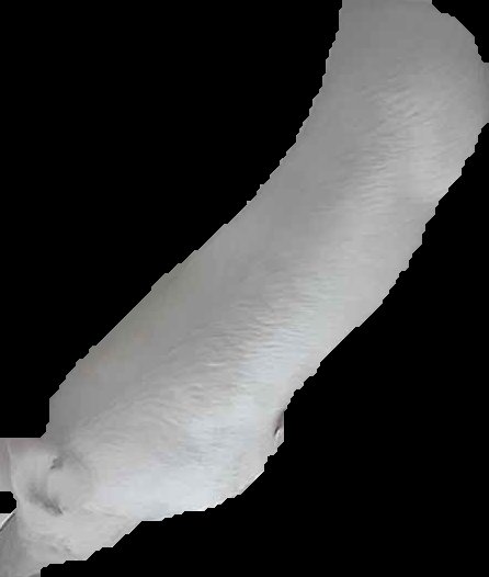 Crop