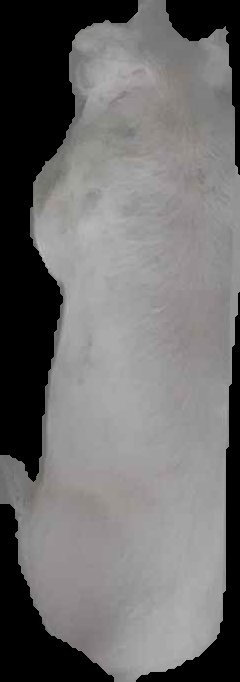 Crop