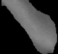 Crop