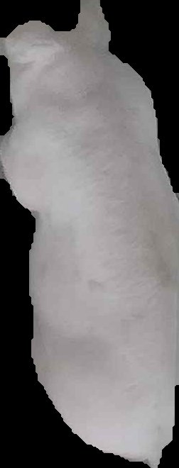 Crop