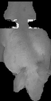 Crop
