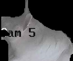 Crop