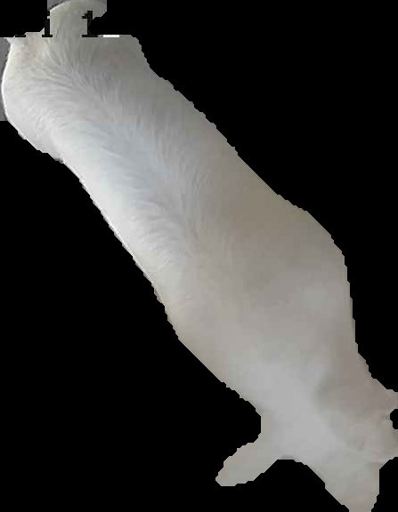 Crop