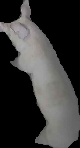 Crop