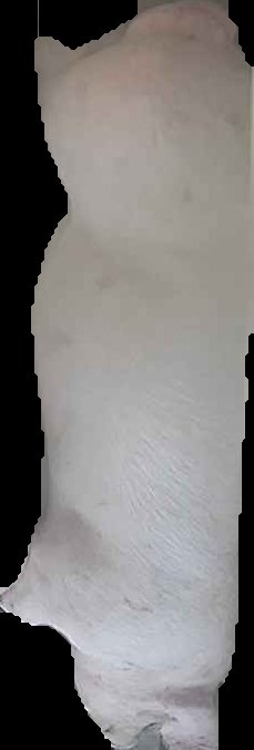 Crop