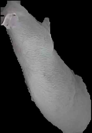 Crop