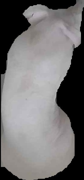 Crop