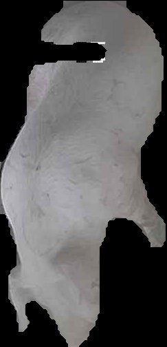 Crop