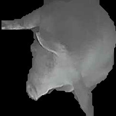 Crop