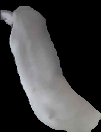 Crop
