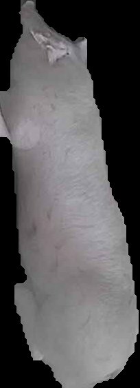 Crop