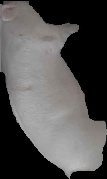 Crop