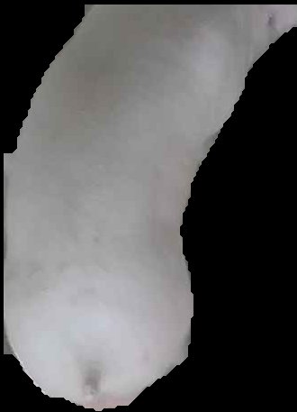 Crop