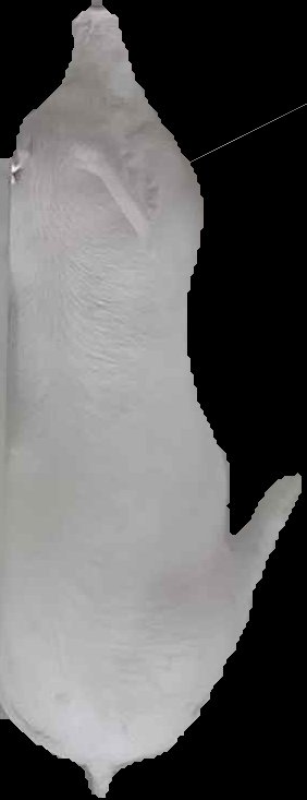Crop