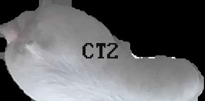 Crop