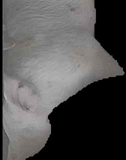 Crop