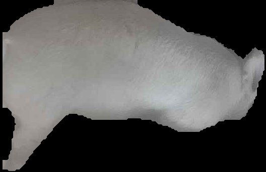 Crop