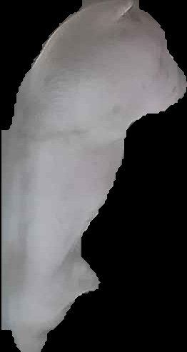Crop