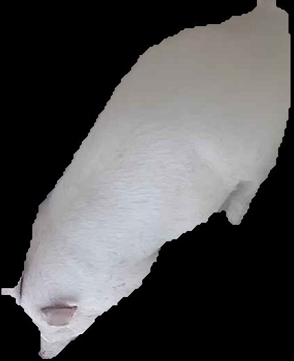 Crop