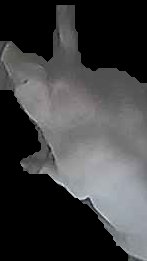 Crop