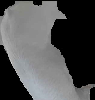 Crop