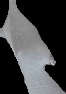 Crop