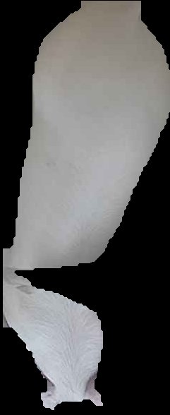 Crop