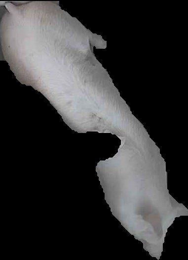 Crop