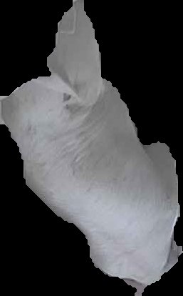 Crop