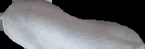 Crop