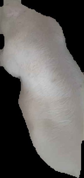 Crop