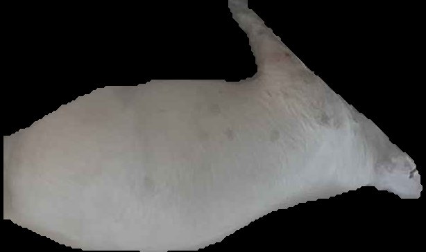 Crop
