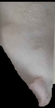 Crop