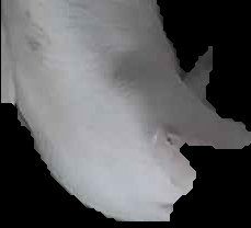 Crop